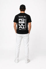REDBULL FORMULA 1 | %100 PAMUK SIRT BASKILI HEAVY COTTON PREMIUM KALİTE T-SHIRT (Y351)